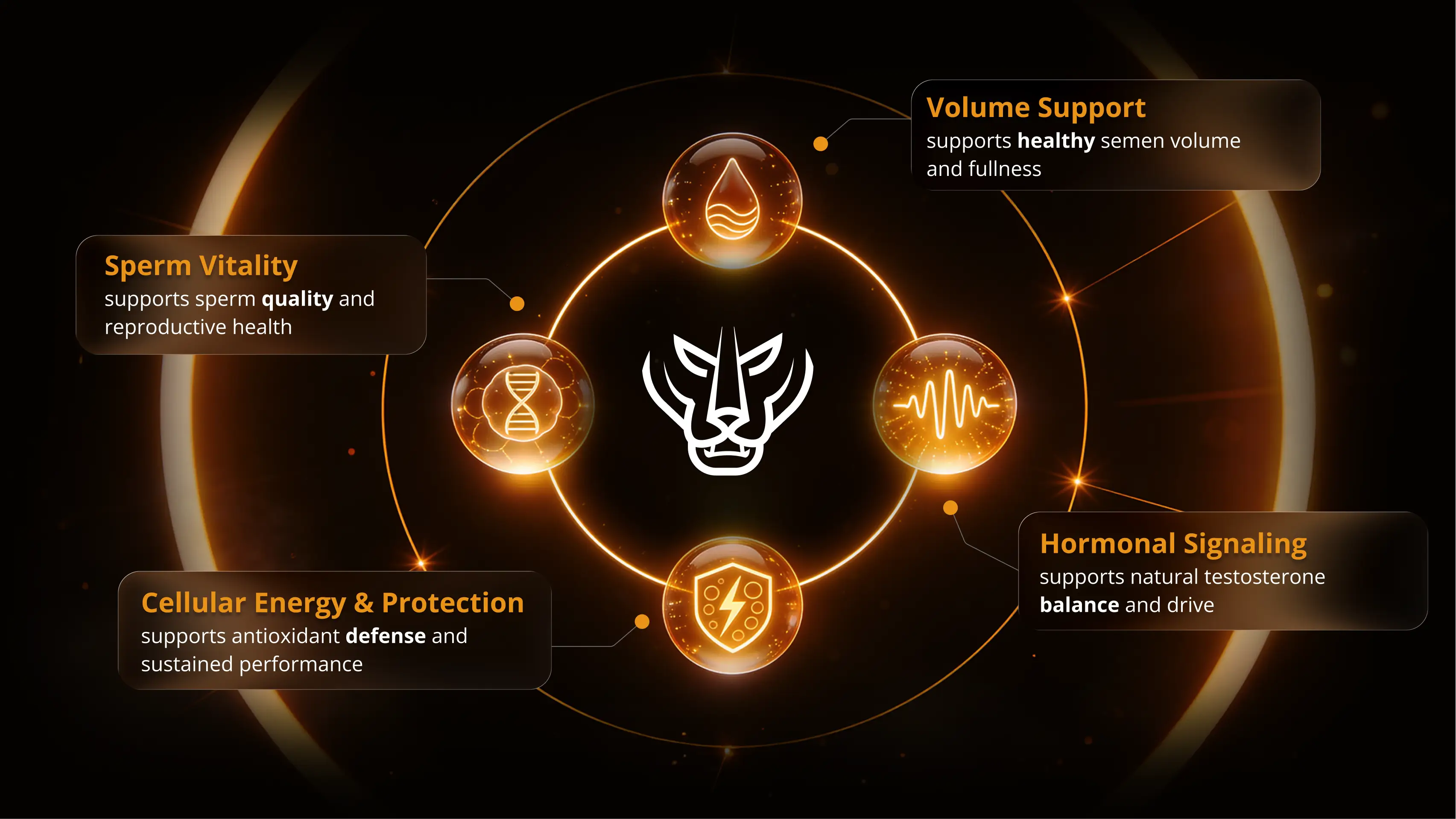 Primal Blast™ Supports Your Primal Release System