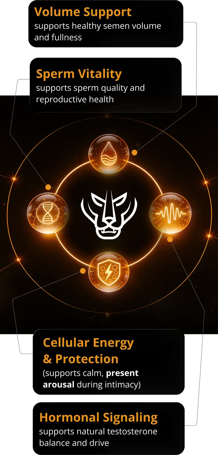 Primal Blast™ Supports Your Primal Release System